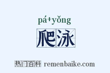 爬泳是什么意思的图片